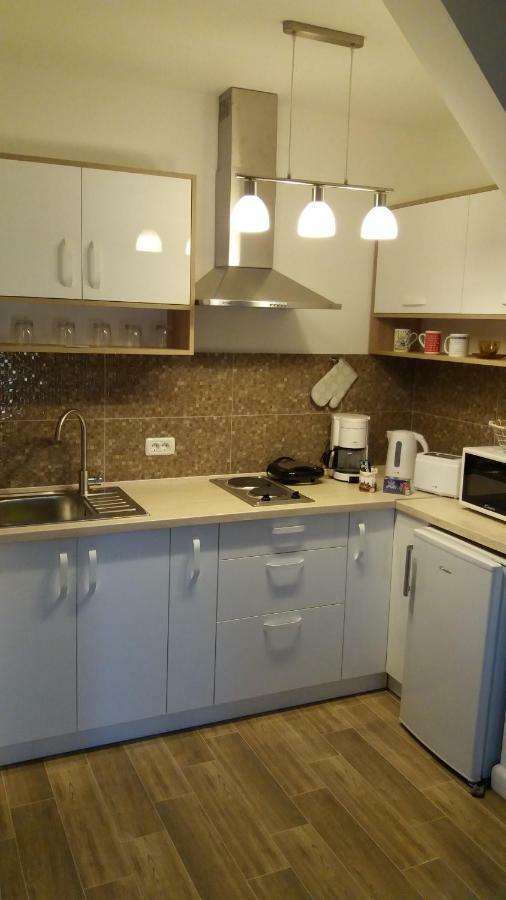 Enjoy Apartment Тімішоара Екстер'єр фото