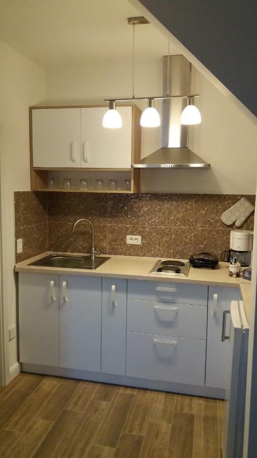 Enjoy Apartment Тімішоара Екстер'єр фото